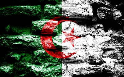 Algeria flag, grunge brick texture, Flag of Algeria, flag on brick wall, Algeria, flags of Africa countries