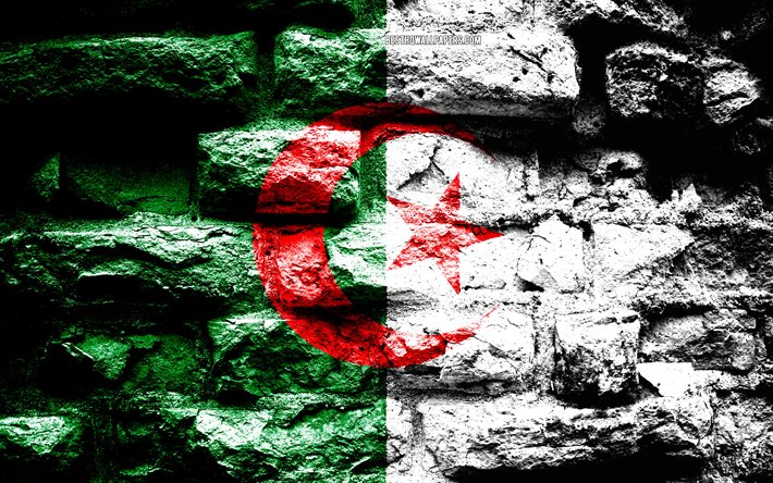 Algerian lippu, grunge tiili rakenne, Lippu Algerian, lippu tiili sein&#228;&#228;n, Algeria, liput Afrikan maissa