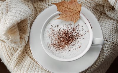 latte art, cup of coffee, latte, coffee concepts, dry autumn leaf, coffee