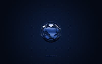 Bosnia and Herzegovina national football team, emblem, UEFA, blue logo, blue carbon fiber background, Bosnia and Herzegovina football team logo, football, Bosnia and Herzegovina