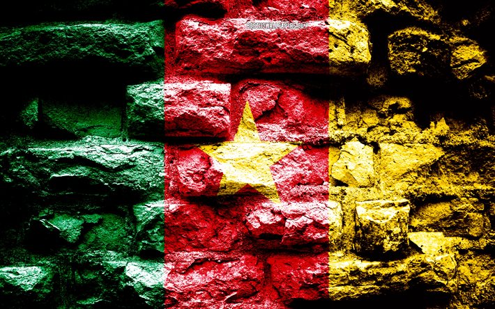 Cameroun drapeau grunge texture de brique, le Drapeau du Cameroun, drapeau sur le mur de brique, le Cameroun, les drapeaux des pays de l&#39;Afrique