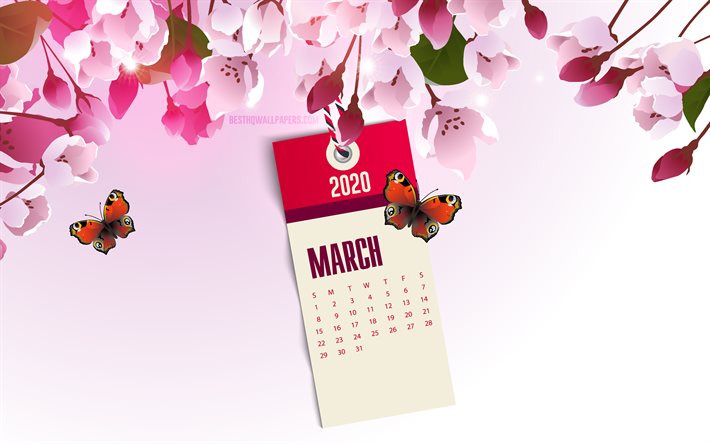 2020年カレンダー, ピンクの春の背景, ピンク色の春の花, 2020年の春にカレンダー, 月, 春の花, 2020年月までの年カレンダー