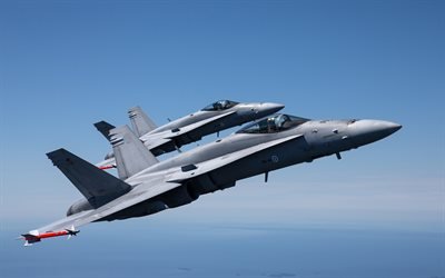 McDonnell Douglas FA-18 Hornet, pair of fighters, combat aircraft, military aircraft, fighters
