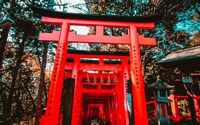 鳥居, 4k, 日本ゲート, 寺, 日本の文化, 日本, アジア