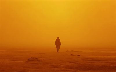 Blade Runner 2049, Officer K, 2017, Ryan Gosling, sunset, poster