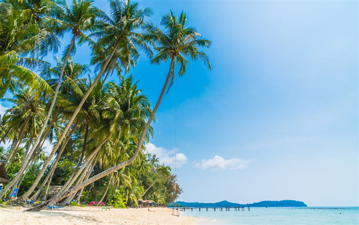 las palmas, playa, isla tropical, verano oc&#233;ano, Maldivas, turistas