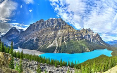4k, Peyto Lake, summer, Banff, mountains, forest, Alberta, canadian landmarks, Banff National Park, Canada