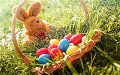 Pasqua, cesto con uova, uova di Pasqua, la primavera, l&#39;erba verde, il coniglietto di Pasqua