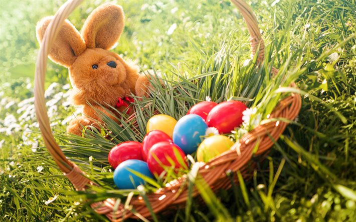 Easter, basket with eggs, Easter eggs, spring, green grass, Easter bunny