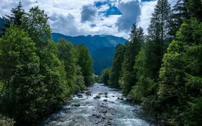 mountain river, forest, mountain landscape, summer, beautiful river, mountains