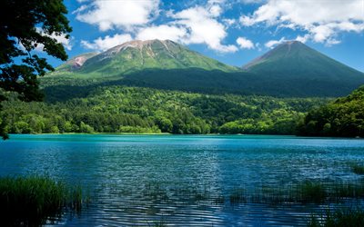mountains, lake, forest, green trees, summer, mountain landscape, environment, ecology
