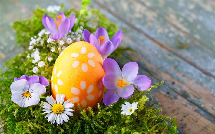 Easter, spring flowers, easter eggs, green grass, Easter background, spring holidays