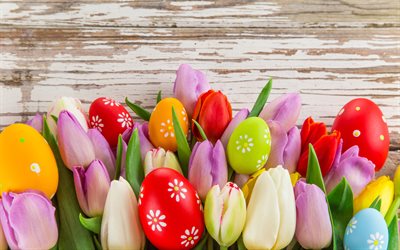 tulips and eggs, 4k, Happy Easter, wooden backgrounds, colorful eggs, easter eggs backgrounds, Easter backgrounds, Easter