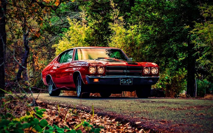 chevrolet chevelle ss, road, 1968 cars, muscle-cars, retro cars, 1968 chevrolet chevelle, american cars, chevrolet