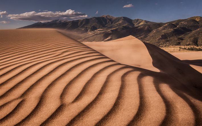 &#246;knen, sand dunes, bergslandskapet, v&#229;gor i sanden, Afrika
