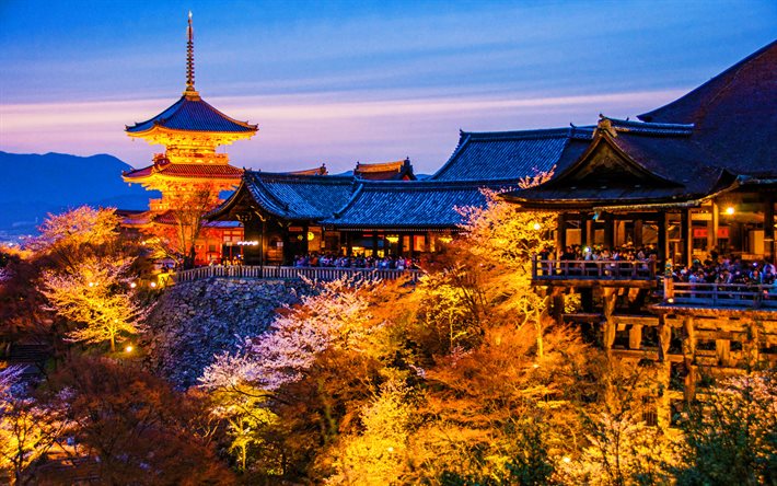 Kyoto, au printemps, des temples japonais, hanami, sakura, les paysages nocturnes, le Japon, l&#39;Asie, les villes japonaises