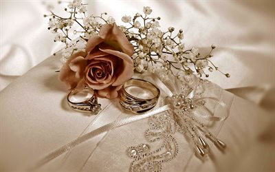 wedding rings, wedding concepts, golden rings on white silk, rose, wedding, wedding card background