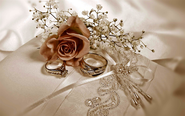 anneaux de mariage, concepts de mariage, anneaux dor&#233;s sur soie blanche, rose, mariage, fond de carte de mariage