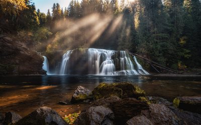 waterfall, morning, sunrise, beautiful waterfall, forest, calm, trees, calm concepts