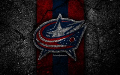 4k, Columbus Blue Jackets, logo, hockey club, NHL, black stone, Eastern Conference, USA, Asphalt texture, hockey, Metropolitan Division