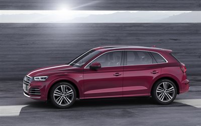 Audi Q5L, delningsfilter, 2019 bilar, side view, lila Q5L, tyska bilar, Audi
