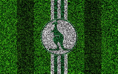 Bohemians 1905 FC, 4k, logo, jalkapallo nurmikko, valkoinen vihre&#228; linjat, Tšekin football club, ruohon rakenne, 1 Liga, Praha, Tšekin Tasavalta, Tšekki Ensin Liigan, jalkapallo