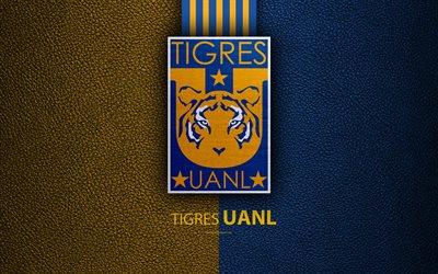 النمور UANL, 4k, جلدية الملمس, شعار, المكسيكي لكرة القدم, الأصفر الأزرق خطوط, والدوري, Primera Division, مونتيري, المكسيك, كرة القدم