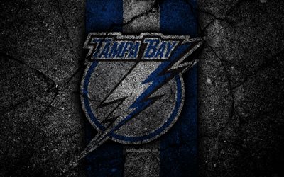 4k, Tampa Bay Lightning, logo, hockey club, NHL, black stone, Eastern Conference, USA, Asphalt texture, hockey, Atlantic Division