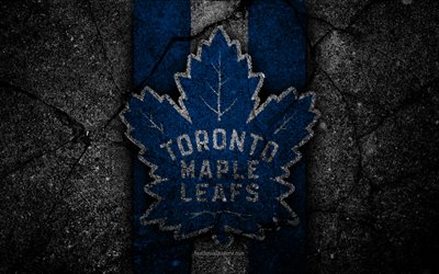 4k, toronto maple leafs, logo, hockey-club, nhl, black stone, eastern conference, usa, asphalt textur, hockey, atlantic division