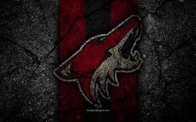 4k, Arizona Coyotes, logo, hockey club, NHL, black stone, Western Conference, USA, Asphalt texture, hockey, Pacific Division