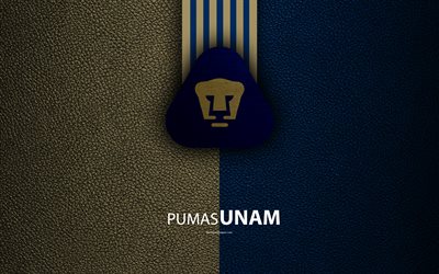 Club Universidad Nacional, Pumas UNAM, 4k, nahka rakenne, logo, Meksikon football club, kulta sininen linjat, Liga MX, Primera Division, Mexico City, Meksiko, jalkapallo