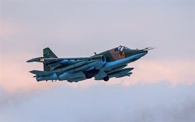 Su-25 ruso de aviones de ataque, aviones militares, la Fuerza A&#233;rea de rusia, el Sukhoi Su-25, Frogfoot