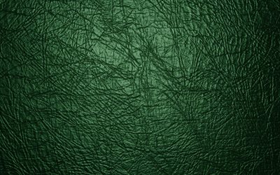 緑の革の質感, 4k, 皮革, 近, グリーンバック, 革の背景, マクロ, 革