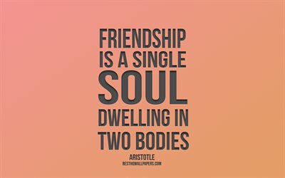 Friendship is a single soul dwelling in two bodies, Aristotle quotes, popular friendship quotes, orange background, minimalism style