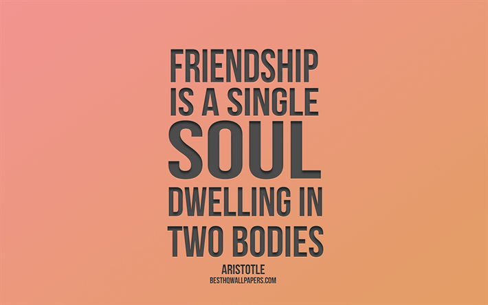 Friendship is a single soul dwelling in two bodies, Aristotle quotes, popular friendship quotes, orange background, minimalism style