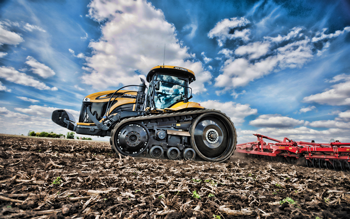 Challenger MT565D, kynt&#246; alalla, 2019 traktorit, keltainen traktori, maatalouskoneiden, sato, tela, HDR, maatalous, traktorin alalla, Challenger Traktorit