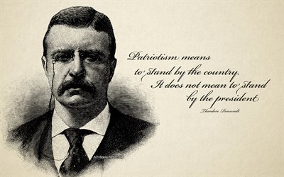 Patriotism means to stand by the country It does not mean to stand by the president, Theodore Roosevelt quotes, portrait, patriotism quotes, retro style