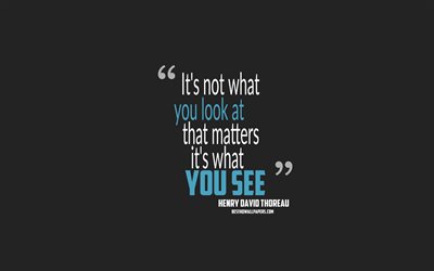 It is not what you look at that matters it is what you see, Henry David Thoreau quotes, minimalism, quotes about people, gray background, popular quotes
