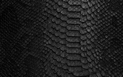 黒蛇皮革の質感, 蛇皮を背景, コブラの食感, 黒創造的背景, 蛇