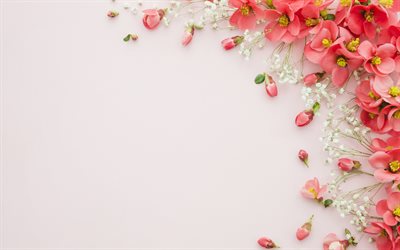 floral, fond, papier, texture, arri&#232;re-plan avec des fleurs rouges, fond rose, floral frame