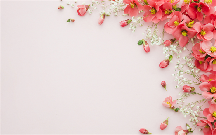 blommig bakgrund, pappersstruktur, bakgrund med r&#246;da blommor, rosa bakgrund, blommig ram