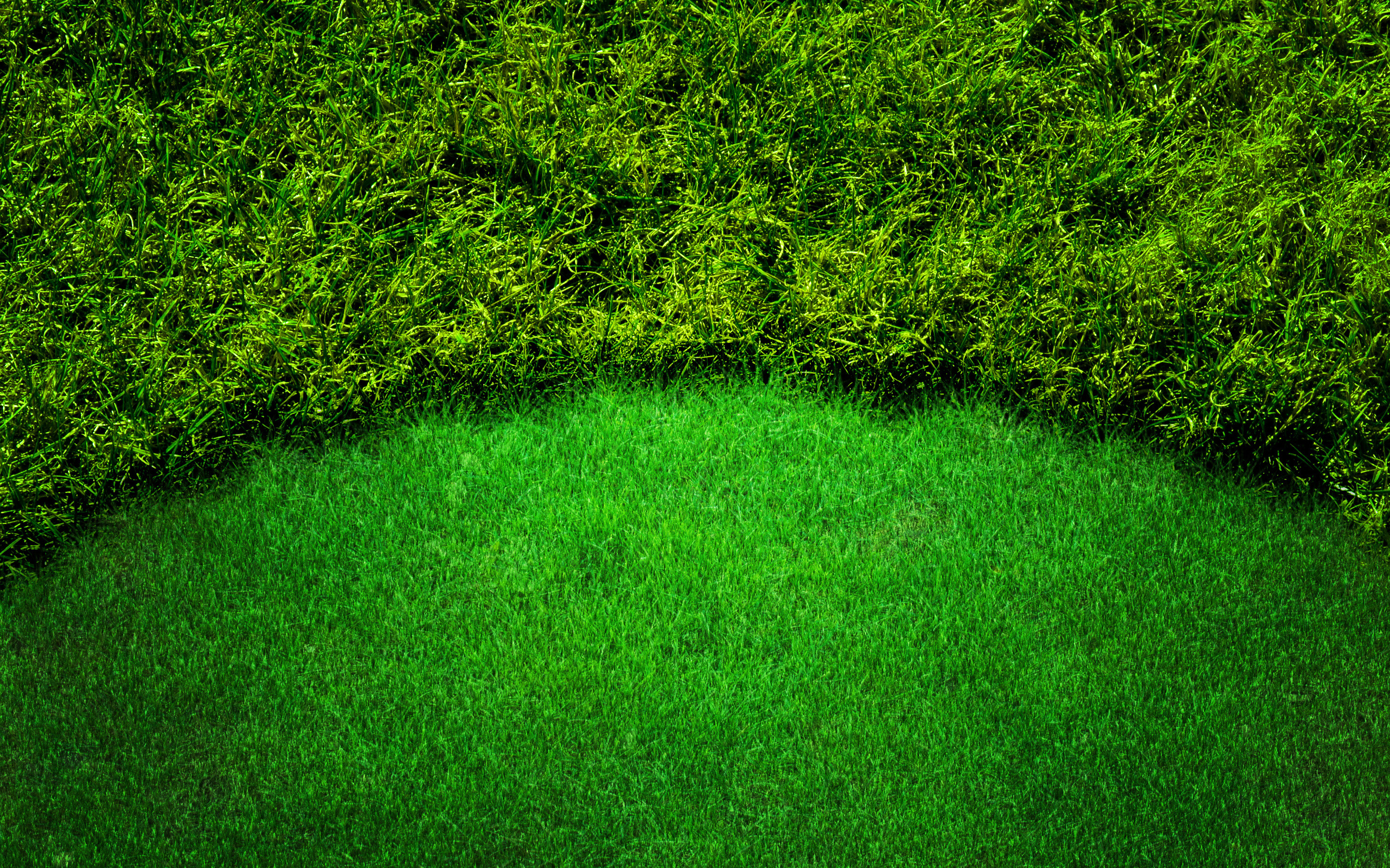 Descargar fondos de pantalla césped, 4k, la hierba verde textura, macro,  fondo verde, hierba texturas, la hierba de la parte superior de pasto, al  fondo, la hierba verde monitor con una resolución