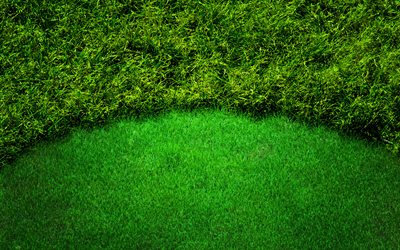 أعشاب الحديقة, 4k, العشب الأخضر الملمس, ماكرو, خلفية خضراء, العشب القوام, العشب من أعلى, العشب خلفية, العشب الأخضر