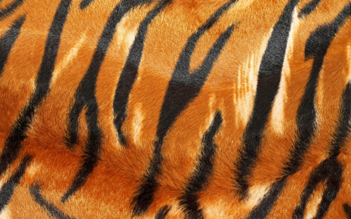 Telecharger Fonds D Ecran Tiger Texture De La Peau La Texture De La Laine Le Tigre La Texture De La Peau Orange Black Tiger Arriere Plan Pour Le Bureau Libre Photos De Bureau Libre