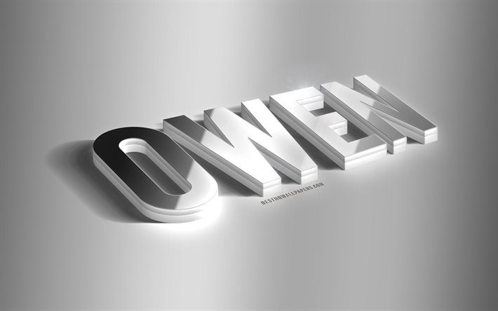 Owen, arte 3d argento, sfondo grigio, sfondi con nomi, nome Owen, biglietto di auguri Owen, arte 3d, foto con nome Owen