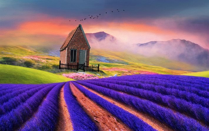 lavender, field, house, mountains, birds, 3D