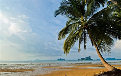 tropical island, sunset, beach, evening, sand, palm trees, Thailand