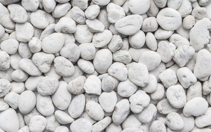 les pierres blanches de la pierre, de la texture, de la plage, de gros pav&#233;s, galets