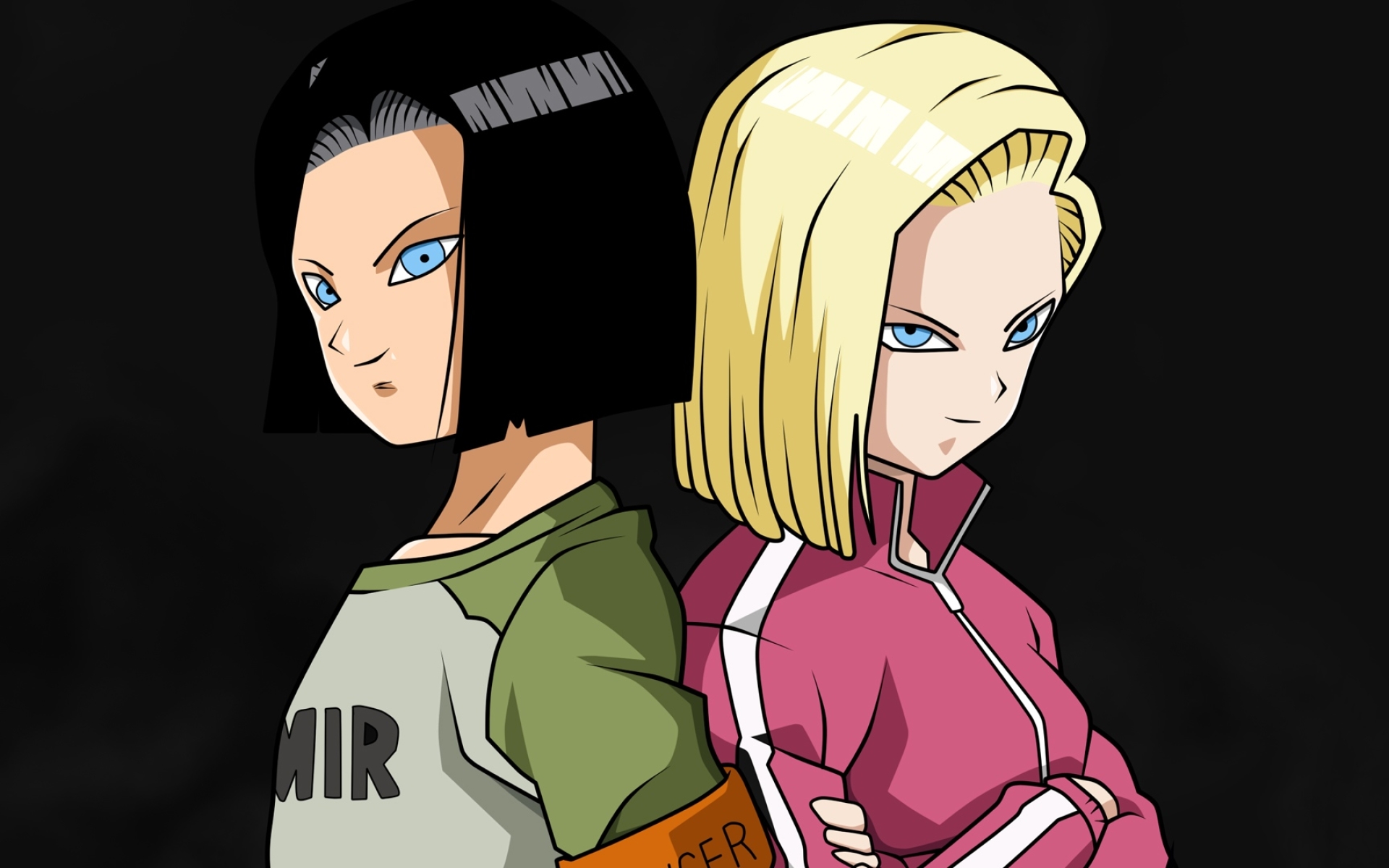 Download wallpapers Android 17, Android 18, fan art, Dragon Ball, DBS,  Dragon Ball Super for desktop with resolution 1920x1200. High Quality HD  pictures wallpapers