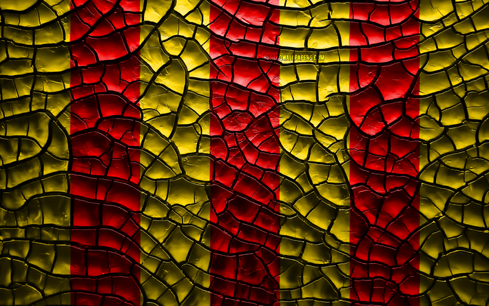 Flag of Foix, 4k, french provinces, cracked soil, France, Foix flag, 3D art, Foix, Provinces of France, administrative districts, Foix 3D flag, Europe